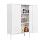 2 Door Miscellaneous Storage Cabinet,Garage Tool Cabinet,Office File Cabinet 2 Movable Partitions