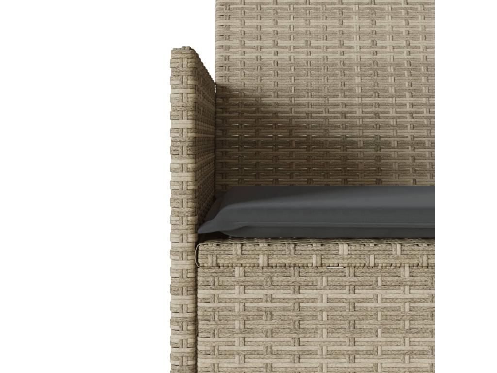 Gray Woven Resin Wicker Sofa