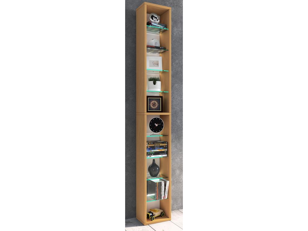 Brown Glass Bookcase